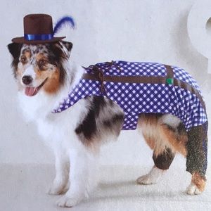 Oktoberfest Pet Costume